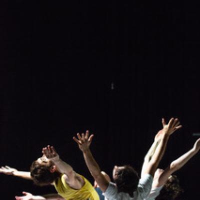 Imago-go - Photos 2
