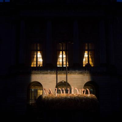 Le Nid ©Vincent Muteau