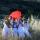 La Fanfare D’occasion