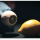Citron