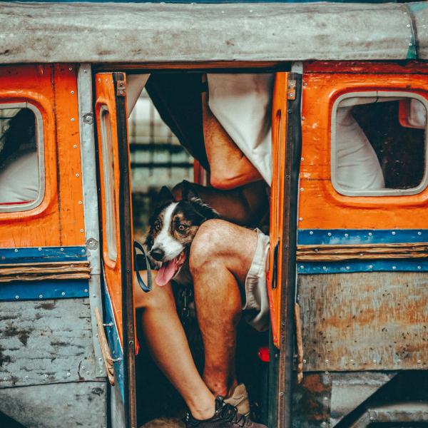 © Mathieu Lacout