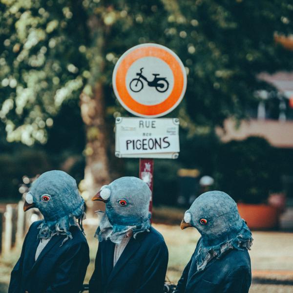 © Mathieu Lacout
