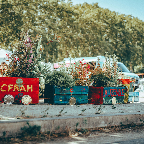 Jardin éphémère - Visuel 1
