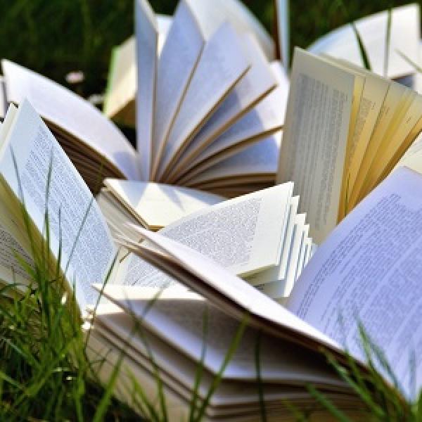 Médiathèque, Libre de droit