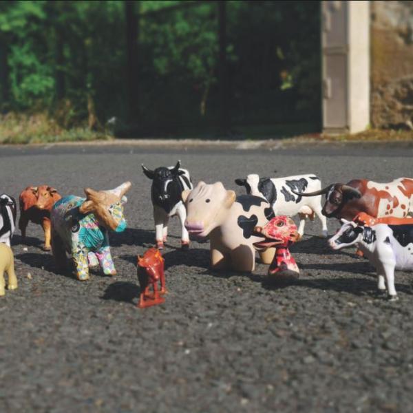  Tout dépend du nombre de vaches (c) Céren Brégeon