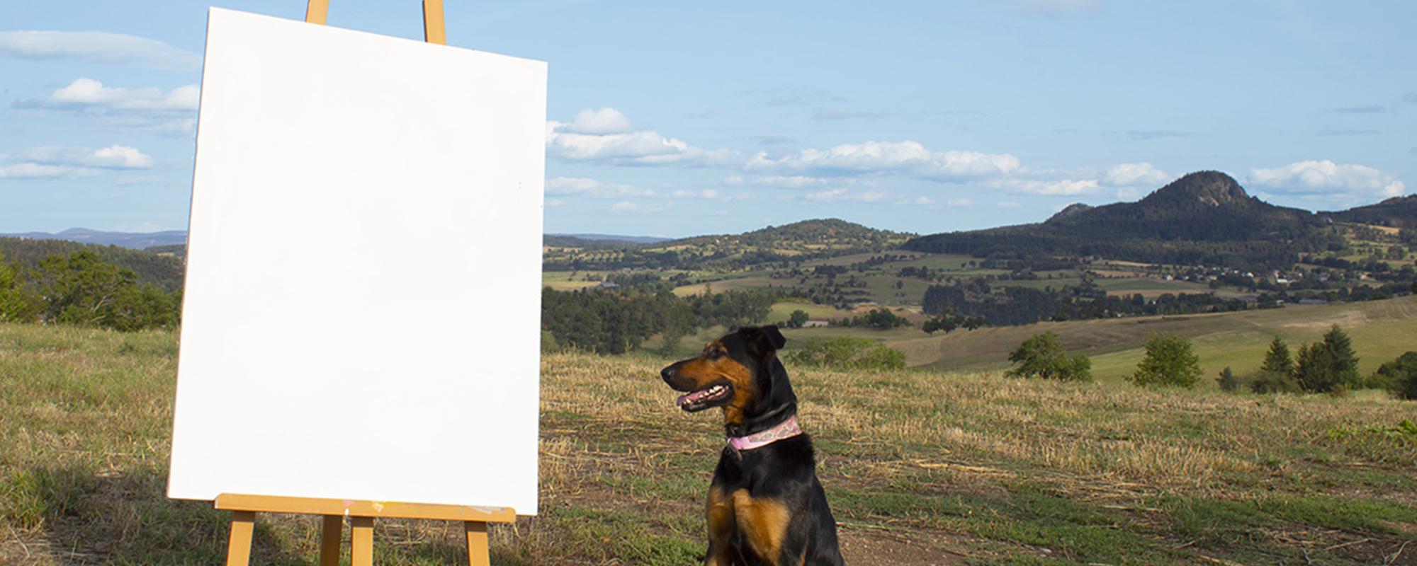 © Bérénice Nouvel Photo du spectacle Promenade avec Cola