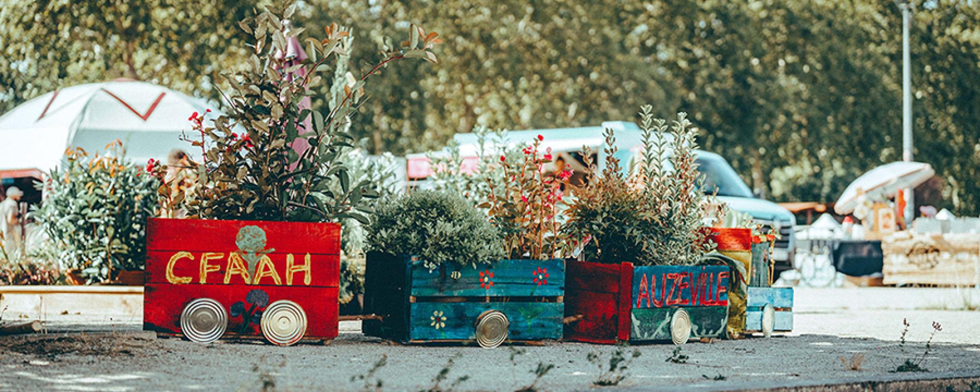 Photo du Jardin éphémère