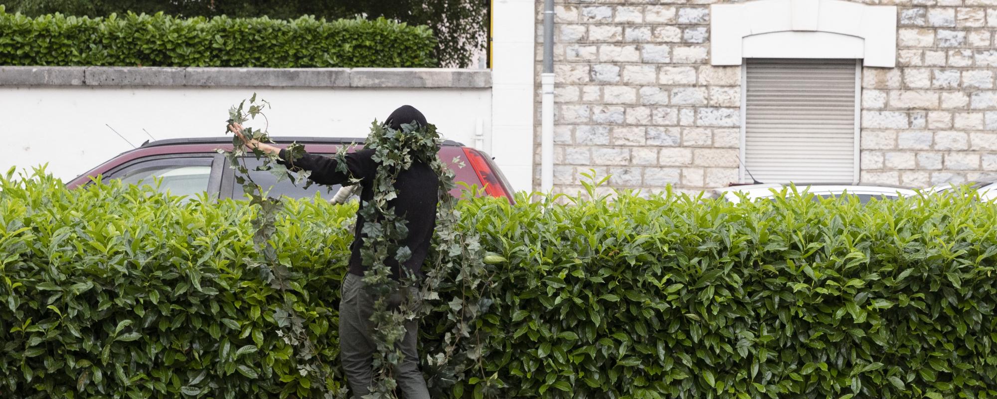© Yves Petit Préambule à Bagatelle - Visuel 1
