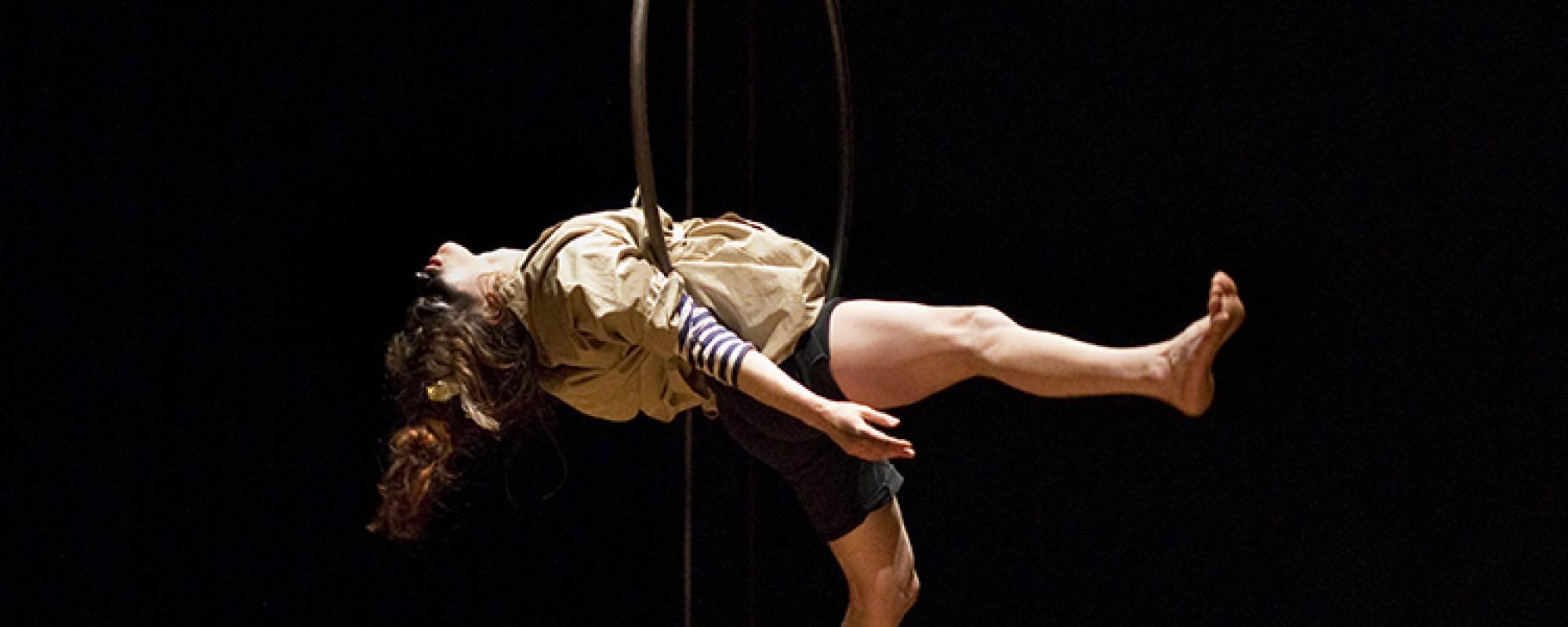 La Volonté du fou - Visuel 1