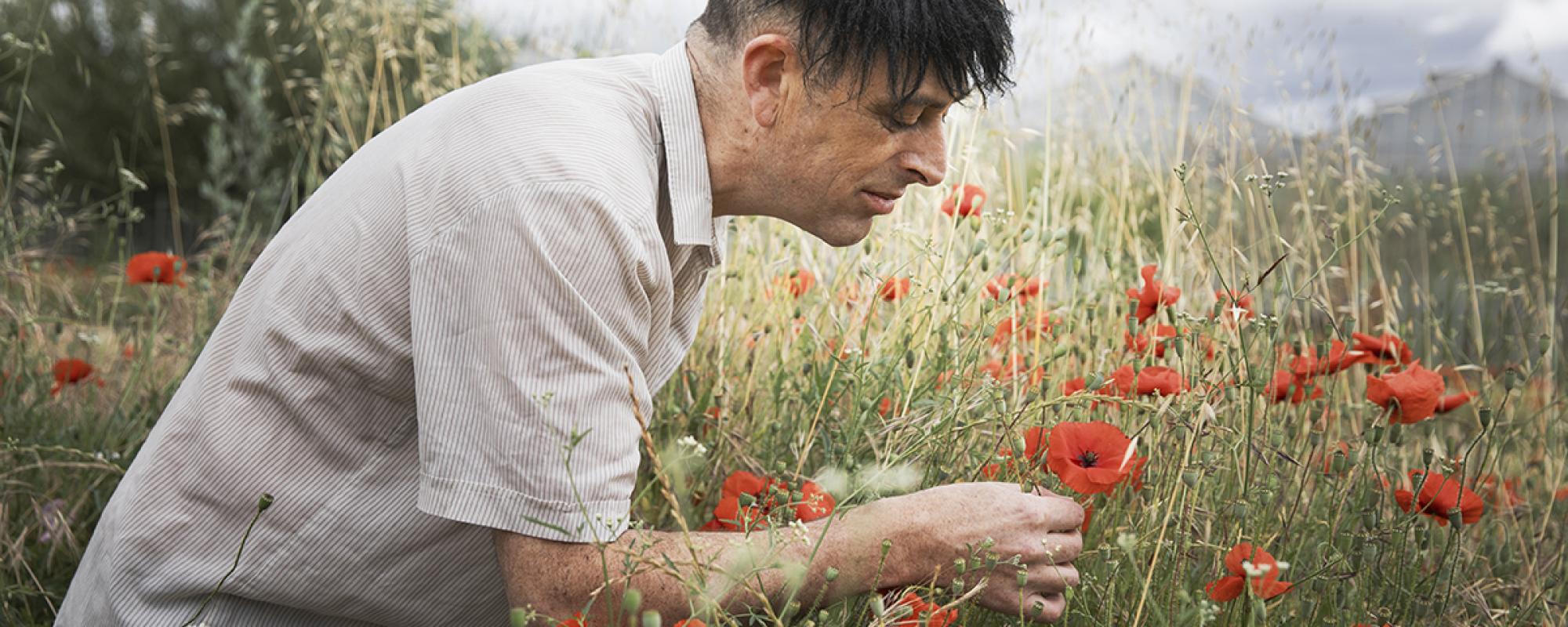 Jean-Noël Mistral - Visuel 1