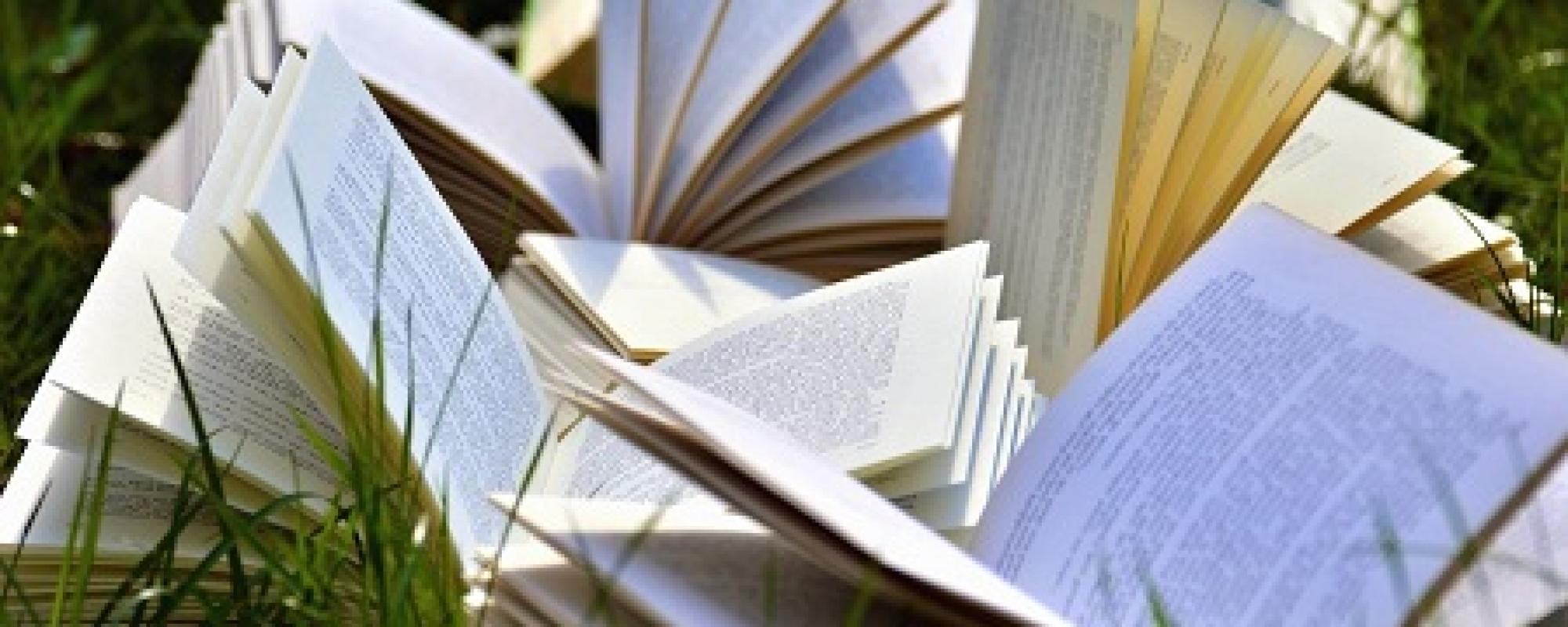 Médiathèque, Libre de droit