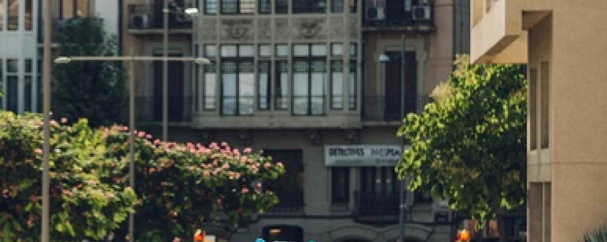 Visuel Hippos, crédit Jordi Rullo