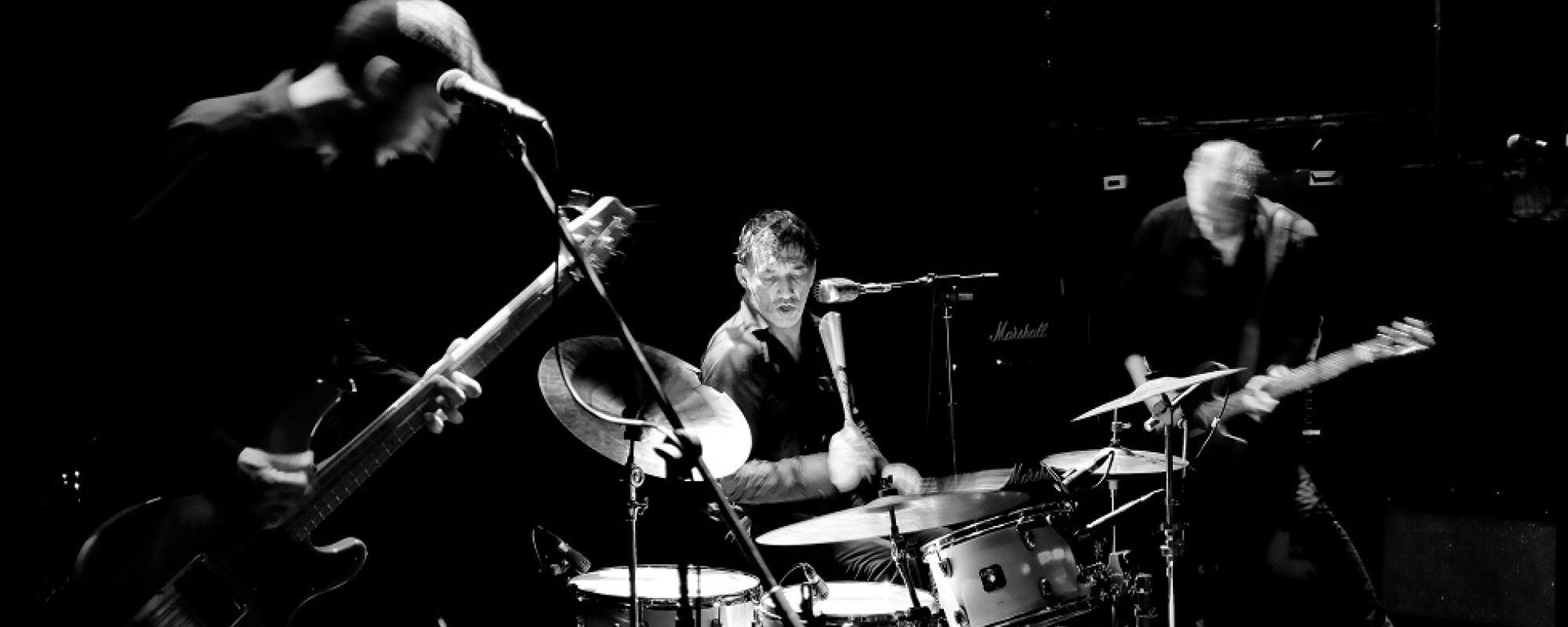 Crédit : Conger ! Conger !