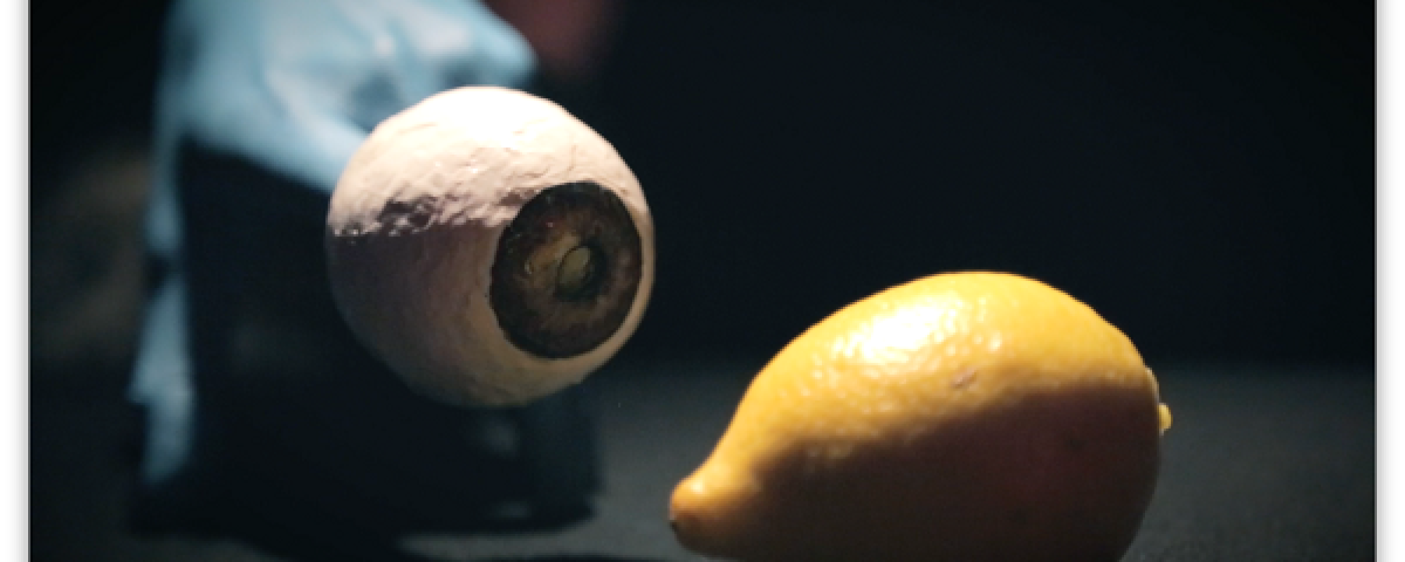 Citron - Visuel 1